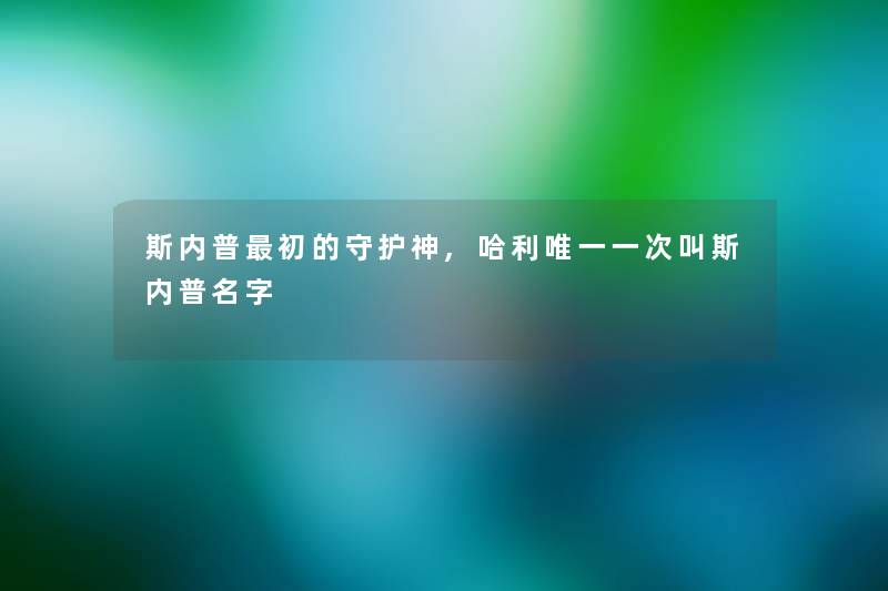 斯内普初的守护神,哈利唯一一次叫斯内普名字