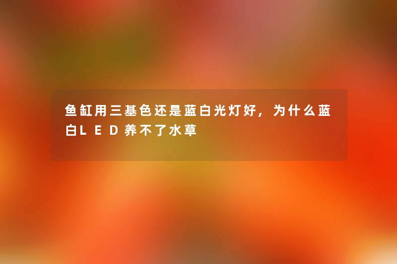 鱼缸用三基色还是蓝白光灯好,为什么蓝白LED养不了水草