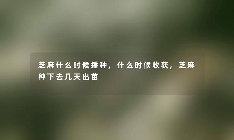 芝麻什么时候播种,什么时候收获,芝麻种下去几天出苗