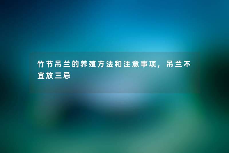 竹节吊兰的养殖方法和注意事项,吊兰不宜放三忌