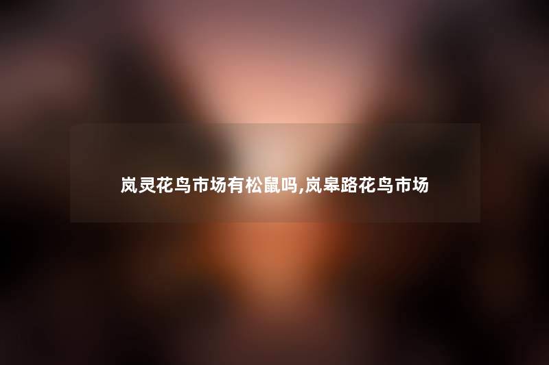 岚灵花鸟市场有松鼠吗,岚皋路花鸟市场