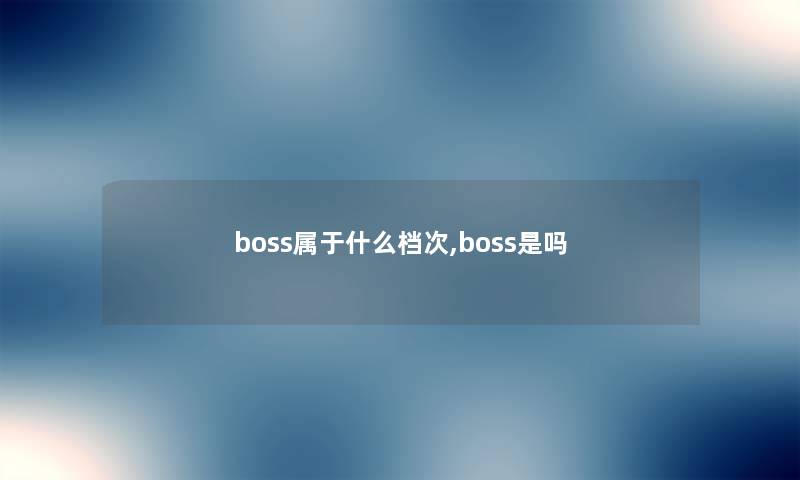 boss属于什么档次,boss是吗