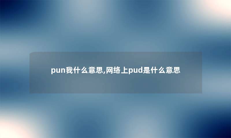 pun我什么意思,网络上pud是什么意思