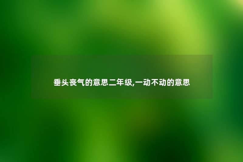 垂头丧气的意思二年级,一动不动的意思