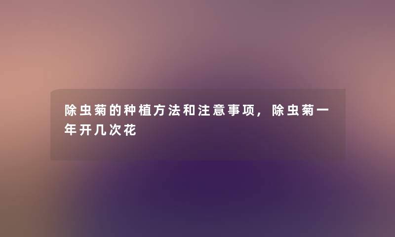 除虫菊的种植方法和注意事项,除虫菊一年开几次花