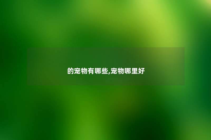 的宠物有哪些,宠物哪里好