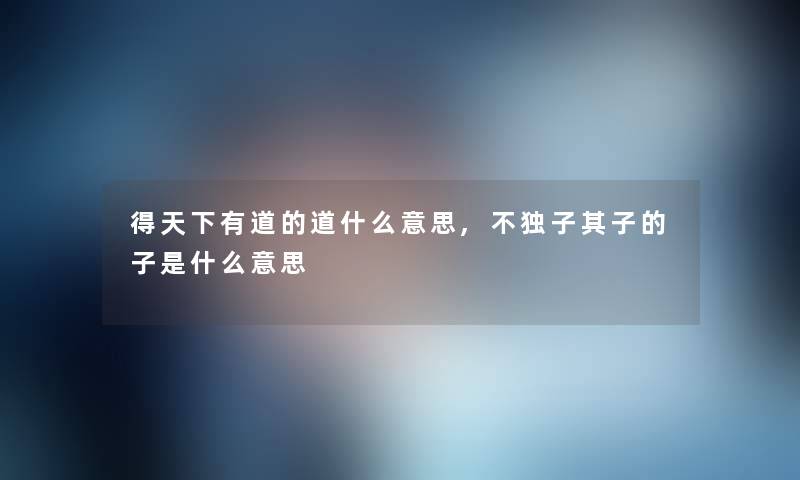 得天下有道的道什么意思,不独子其子的子是什么意思