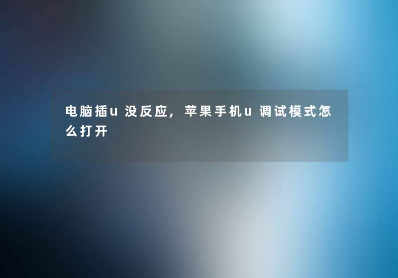 电脑插u没反应,苹果手机u调试模式怎么打开