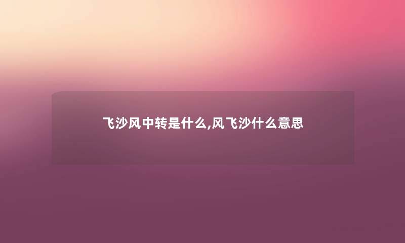 飞沙风中转是什么,风飞沙什么意思