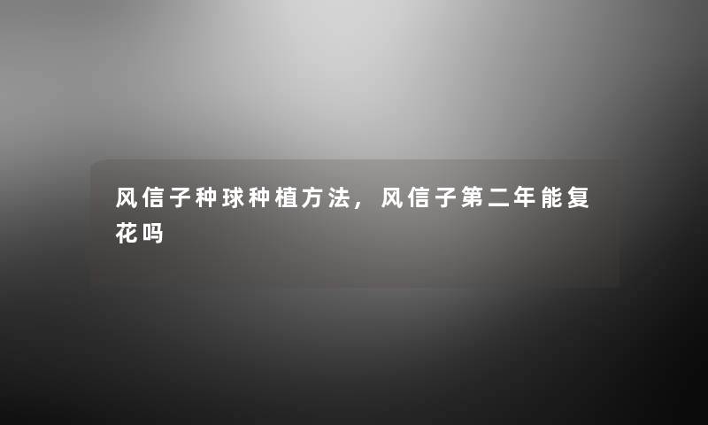 风信子种球种植方法,风信子第二年能复花吗