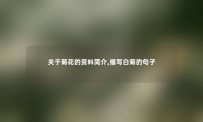 关于菊花的资料简介,描写白菊的句子