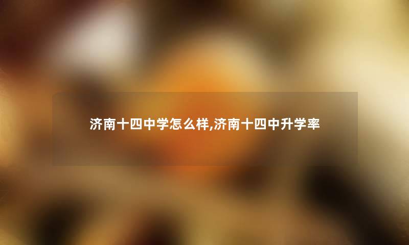济南十四中学怎么样,济南十四中升学率