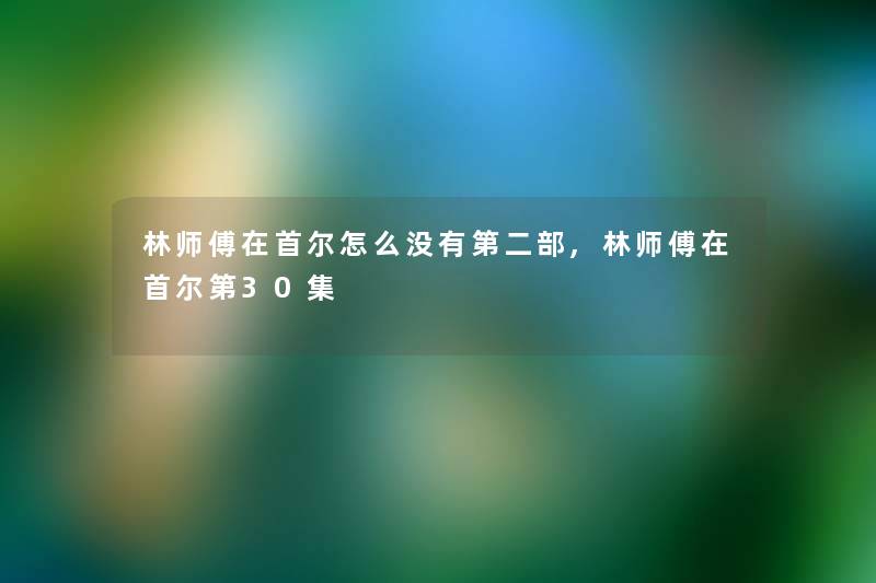 林师傅在首尔怎么没有第二部,林师傅在首尔第30集