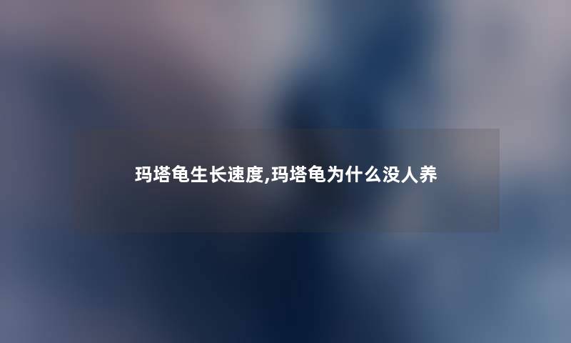 玛塔龟生长速度,玛塔龟为什么没人养