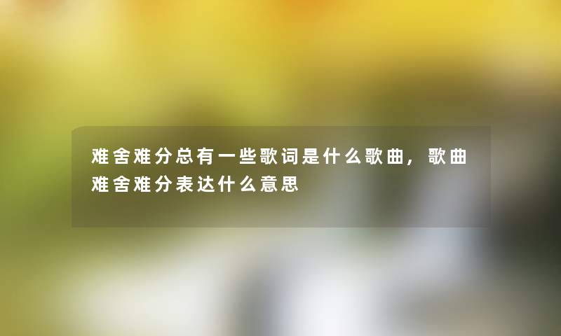 难舍难分总有一些歌词是什么歌曲,歌曲难舍难分表达什么意思
