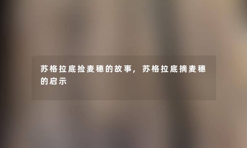 苏格拉底捡麦穗的故事,苏格拉底摘麦穗的启示 苏格拉底捡麦穗的故事,苏格拉底摘麦穗的启示