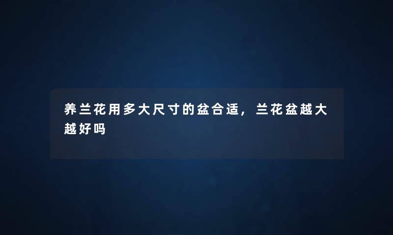 养兰花用多大尺寸的盆合适,兰花盆越大越好吗 养兰花用多大尺寸的盆合适,兰花盆越大越好吗