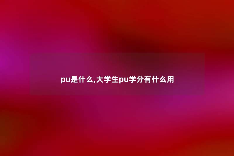 pu是什么,大学生pu学分有什么用