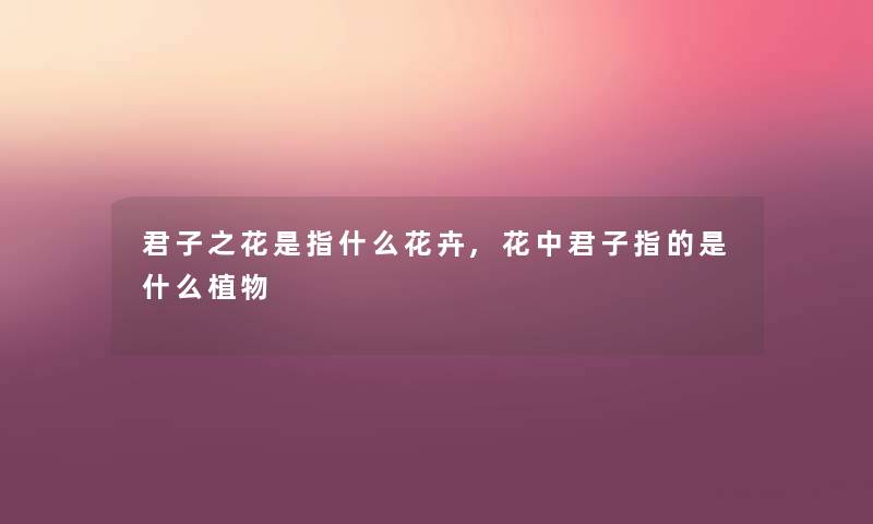 君子之花是指什么花卉,花中君子指的是什么植物