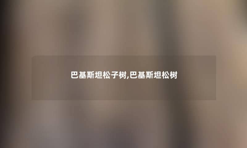 巴基斯坦松子树,巴基斯坦松树 巴基斯坦松子树,巴基斯坦松树