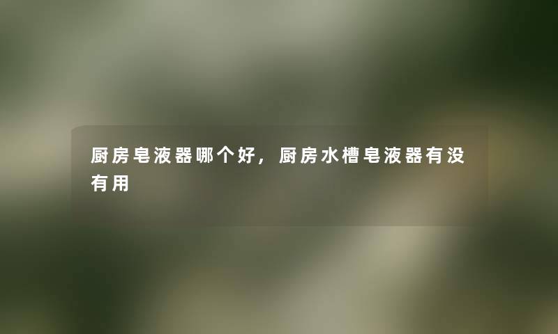 厨房皂液器哪个好,厨房水槽皂液器有没有用