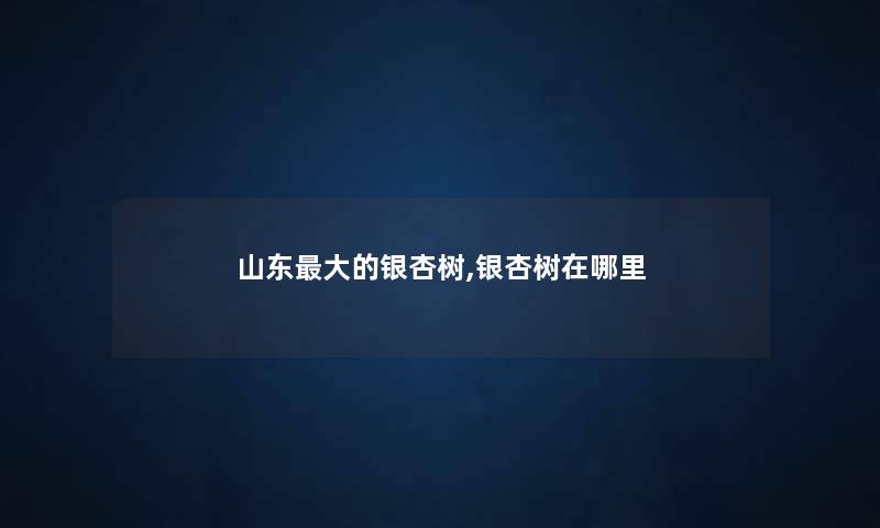 山东大的银杏树,银杏树在哪里 山东大的银杏树,银杏树在哪里