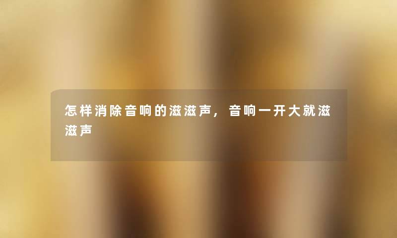 怎样消除音响的滋滋声,音响一开大就滋滋声
